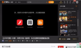 视频播放不了,视频播放故障排查指南
